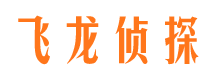 玛多市侦探公司